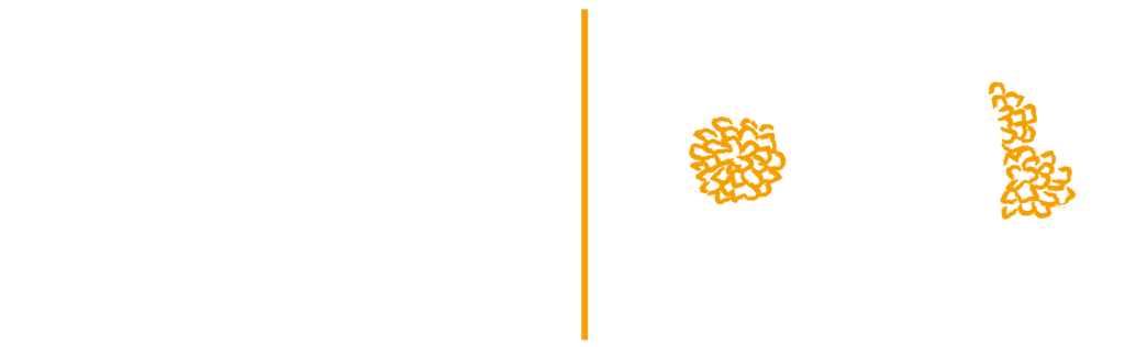 Cultura Viva